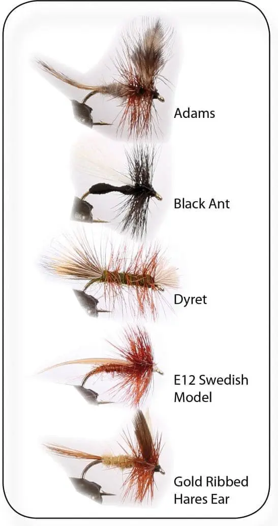 Dry Fly 2 5P