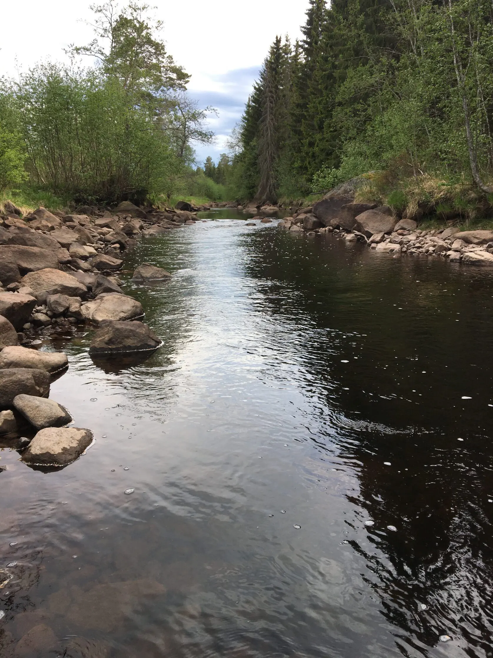 Exempel på flottledsrensad sträcka