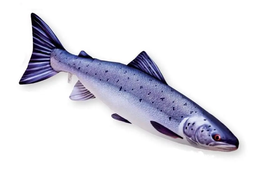 Perfekt reproduktion av en lax (salmo salar) (90 cm)