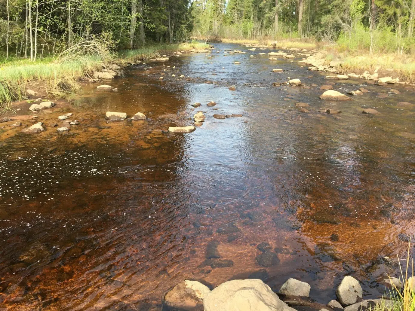 Limån
