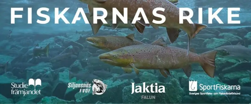 Föreläsning med Martin Falklinder i Siljansnäs