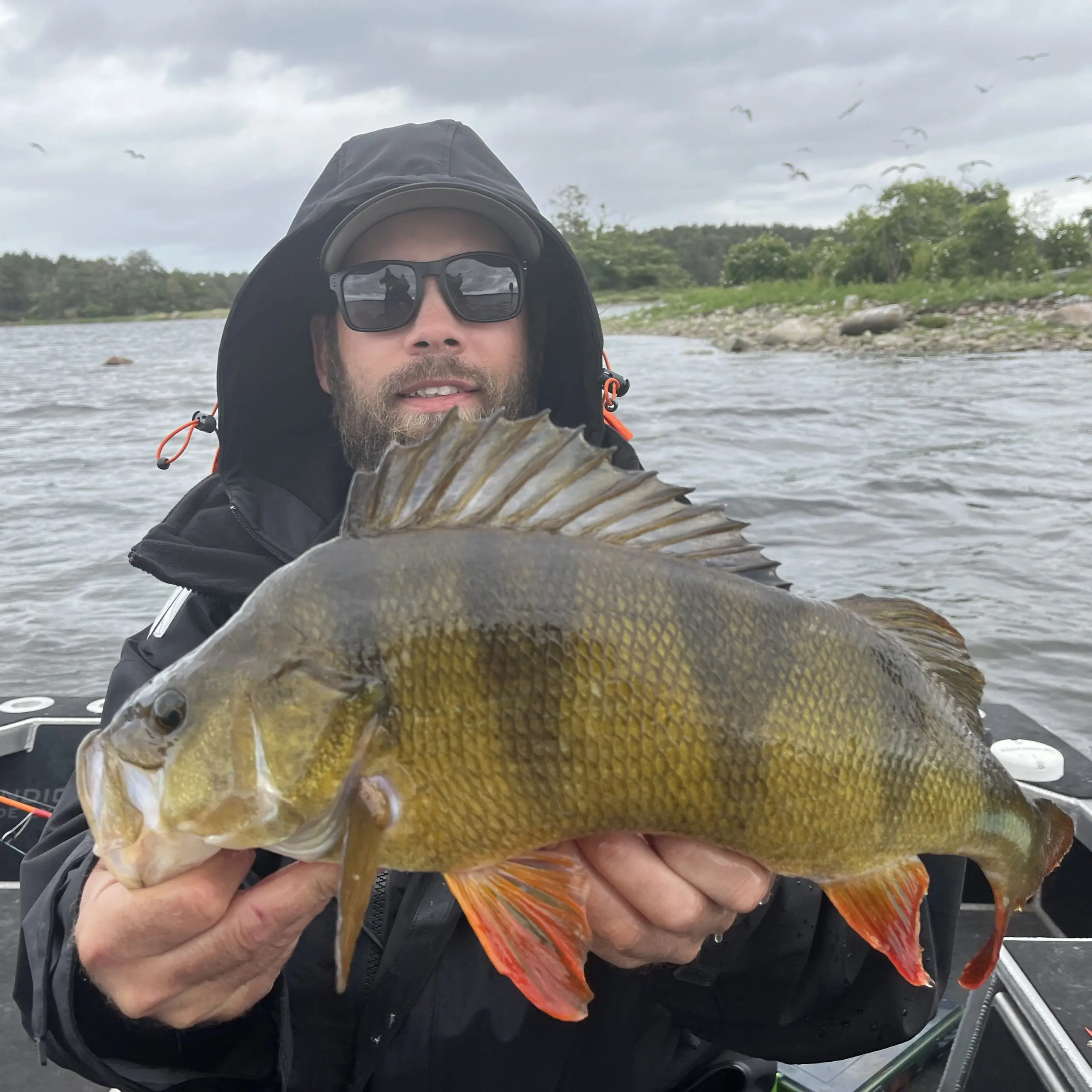 Fiskeguide Daniel Hedberg, expert på fiske i Dalarna, med över 35 års erfarenhet.