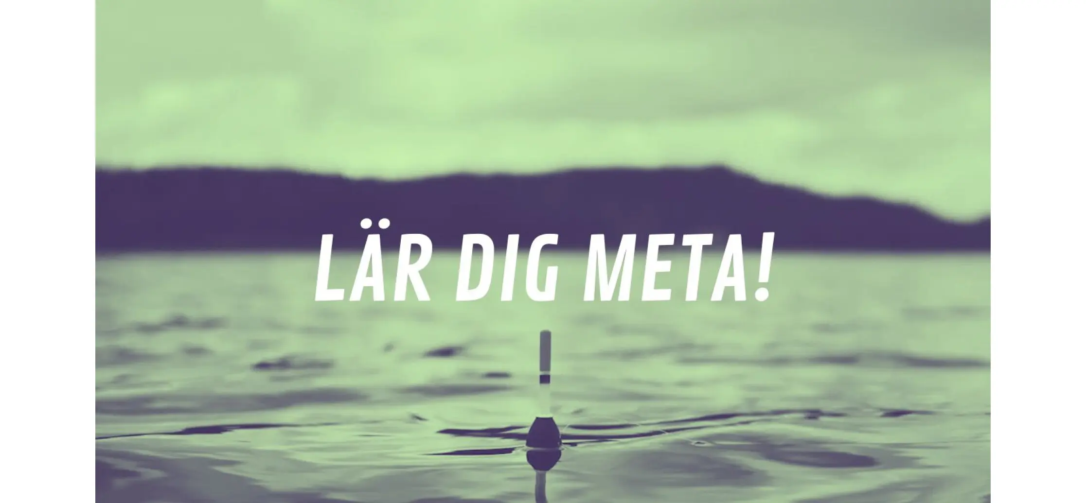 Lär dig meta i Dalarna vid Siljan med en certifierad guide