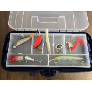 Alternative view of Eagle Startkit Abborre 1