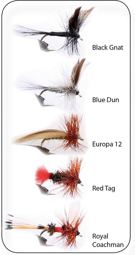 Dry Fly 1 5P