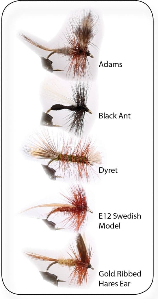 Dry Fly 2 5P