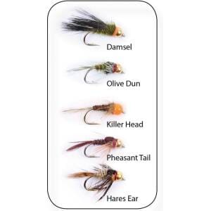 Nymphs Weighted 5-pack