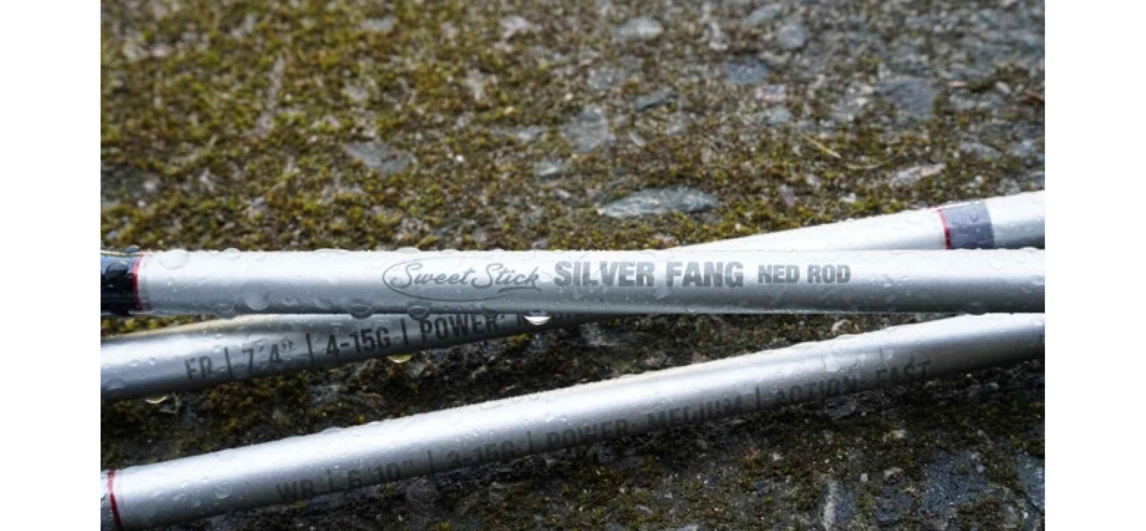 Bite of Bleak Sweetstick Silver Fang WR. 6'10'' 3-15g F
