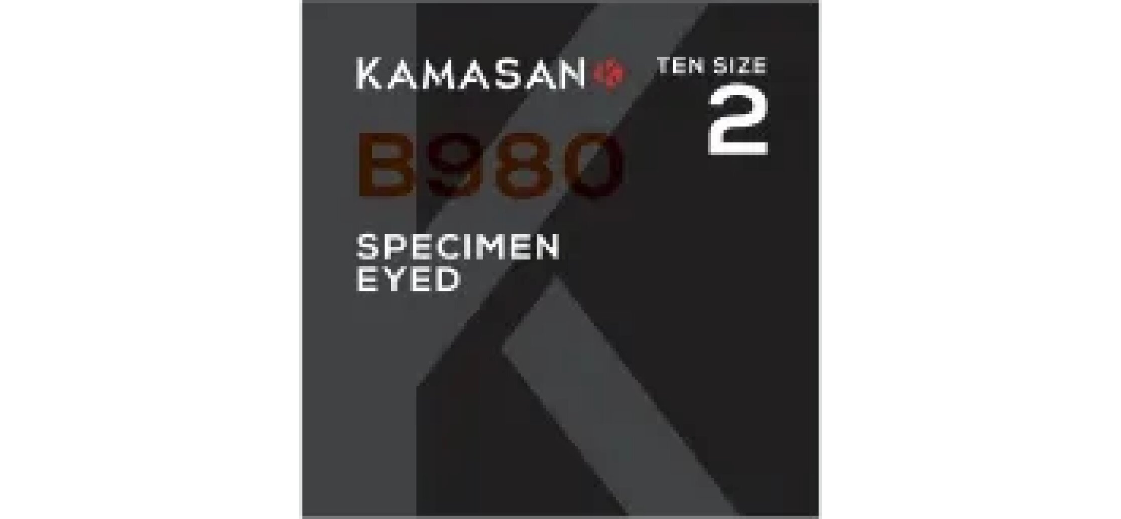 Kamasan Specimen Eyed 2 B980 - Bild 2